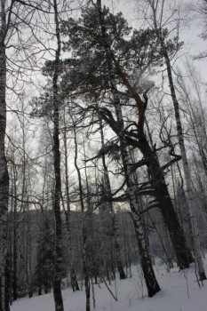 Природа наших мест - S_M7SzfSI7M.jpg