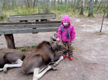 Новый год в России. Куда поехать? Что посмотреть? - image.jpg