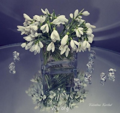 Конвенция ООН о правах ребенка - 584463[1].jpg