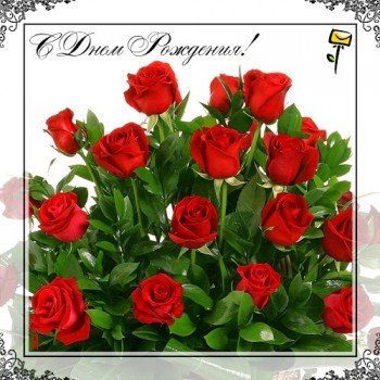 Завтра отмечаем годовщину Дня Аиста - 0_62580_56452edd_XL.jpg