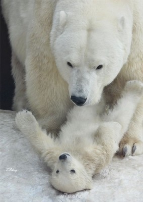 Ваше состояние души: мысли и чувства в картинке или мелодии - 0_83cba_4ad2f7b3_L[1].jpg