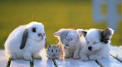 Ваше состояние души: мысли и чувства в картинке или мелодии - н.jpg