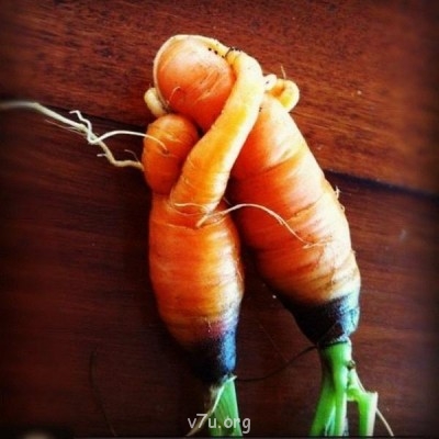 Ваше состояние души: мысли и чувства в картинке или мелодии - 0_601d3_23727bd5_XL.jpg