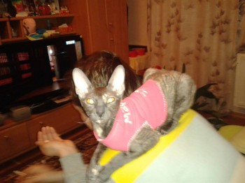 Ксюшенька-Ксения будешь ли ты с нами? - 2013-12-15 18.52.09.jpg