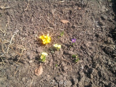 Ваше состояние души: мысли и чувства в картинке или мелодии - Фото0463.jpg