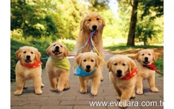 Наш Зайка - 155748_0.jpg