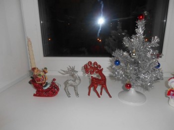 Завтра отмечаем годовщину Дня Аиста - DSCN2946.JPG