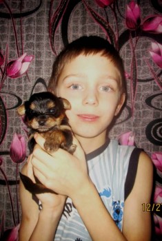 Истории Фимы - IMG_0946.JPG