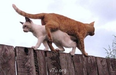 Путь к Богу и вере - fce45cf9d8de.jpg