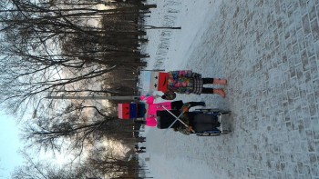 Наш Зайка - P_20160104_152931.jpg