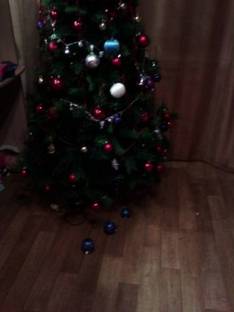 Помогите сделать выбор. - 14522630740561724588856.jpg