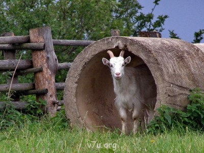 Ваше состояние души: мысли и чувства в картинке или мелодии - 0_STATIC92fe3_e16e55d4_L[1].jpg