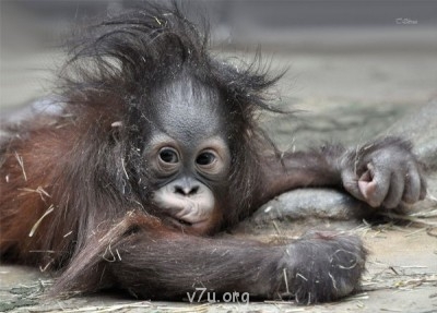 Ваше состояние души: мысли и чувства в картинке или мелодии - 1049т[2].jpg