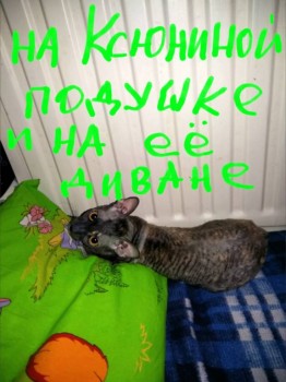 Ксюшенька-Ксения будешь ли ты с нами? - 2016-01-23 22.07.38.jpg