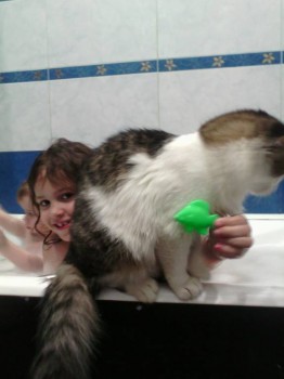 Помогите сделать выбор. - 1454262186057471641908.jpg