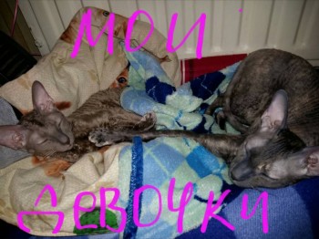 Ксюшенька-Ксения будешь ли ты с нами? - 2016-01-31 20.58.26.jpg