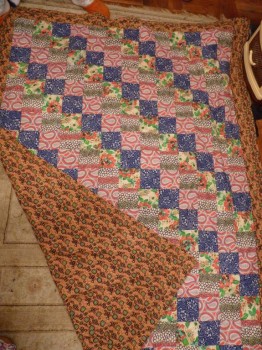 Экономия в условиях кризиса и не только - P1100282.JPG