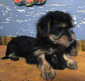 Истории Фимы - IMG_1666.JPG