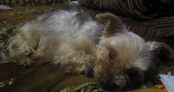 Истории Фимы - IMG_1509.JPG