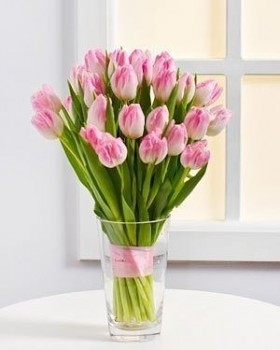 Завтра отмечаем годовщину Дня Аиста - тюльпан.jpg