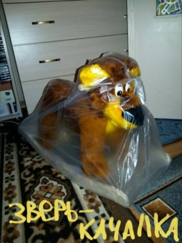 Ксюшенька-Ксения будешь ли ты с нами? - 2016-02-09 23.38.22.jpg