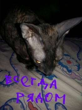 Ксюшенька-Ксения будешь ли ты с нами? - 2016-02-12 22.16.07.jpg