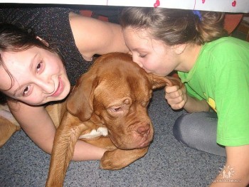 Детки по-наследству  - YDPYSbcZGaU.jpg