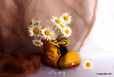 Хокку - японские стихи - 1685265[1].jpg