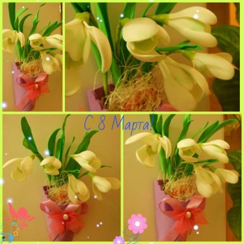 Новая жизнь отживших вещей - ипа.jpg