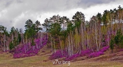 Удивительное рядом - 4.jpg