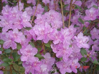 Удивительное рядом - е.jpg