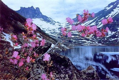 Удивительное рядом - ее.jpg