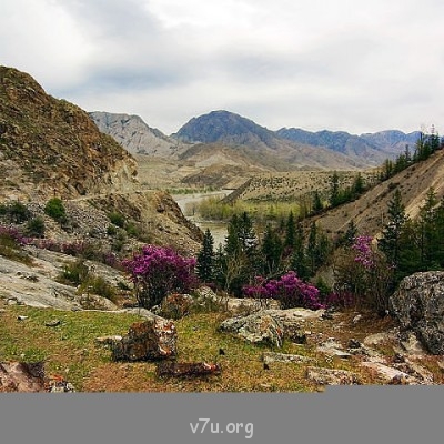 Удивительное рядом - им.jpg