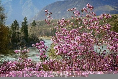 Удивительное рядом - к.jpg