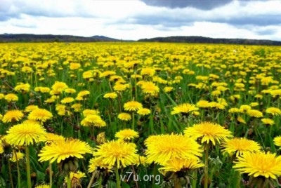 Удивительное рядом - 73608567_1267384114_12317.jpg