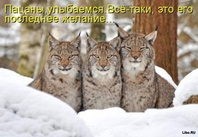 Ваше состояние души: мысли и чувства в картинке или мелодии - eea4d330e7ef.jpg