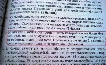 Очень средняя школа - безмозга.jpg