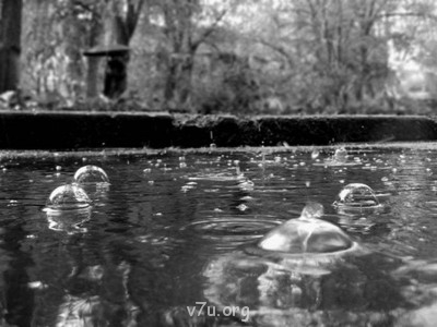 Ваше состояние души: мысли и чувства в картинке или мелодии - dogd_kapli_dogdya_kartinki_foto_06.jpg