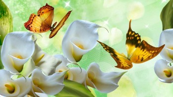 Становление Нашей приемной семьи. - cala_lilies_golden_butterflies.jpg