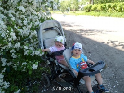 Вот такие мои приёмные детки.