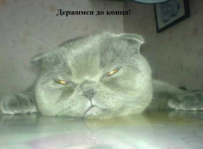 Ваше состояние души: мысли и чувства в картинке или мелодии - 013.jpg