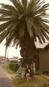 А у нас сегодня 3  - image (84).jpg