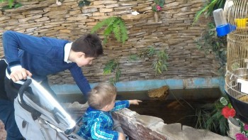 Наш Зайка - P_20160403_110139.jpg