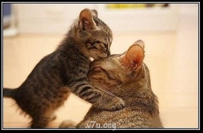 Биомама забирает ребёнка. Что делать? - x_9864cf3f.jpg