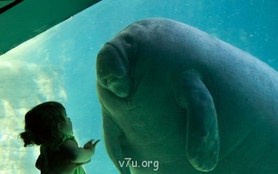 Детей для приемных семей нет Только больные. Хотите таких? - best09.jpg