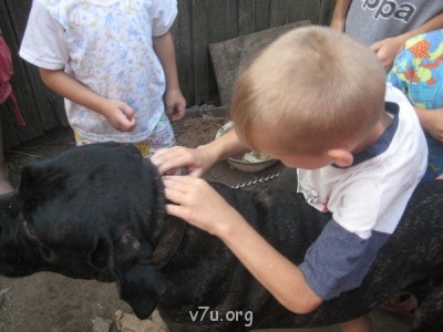 Шурик первый нашел самую главную подсказку в ошейнике Греты