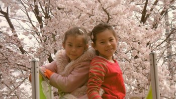 Япония.Жизнь и воспитание детей - image (1).jpg