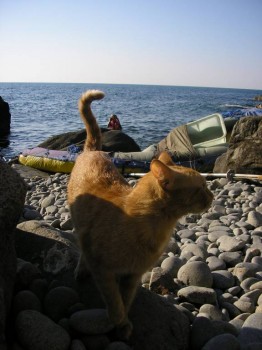 Становление Нашей приемной семьи. - P7300012.JPG