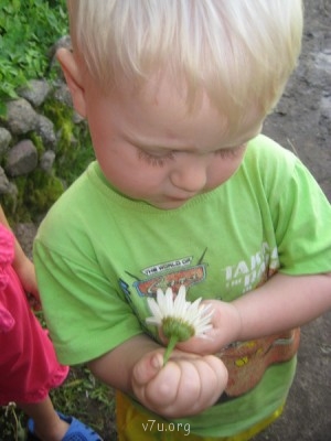 А я пока погадаю.Внук Никитка.