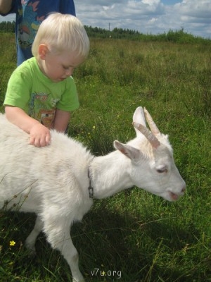 А молоко где?